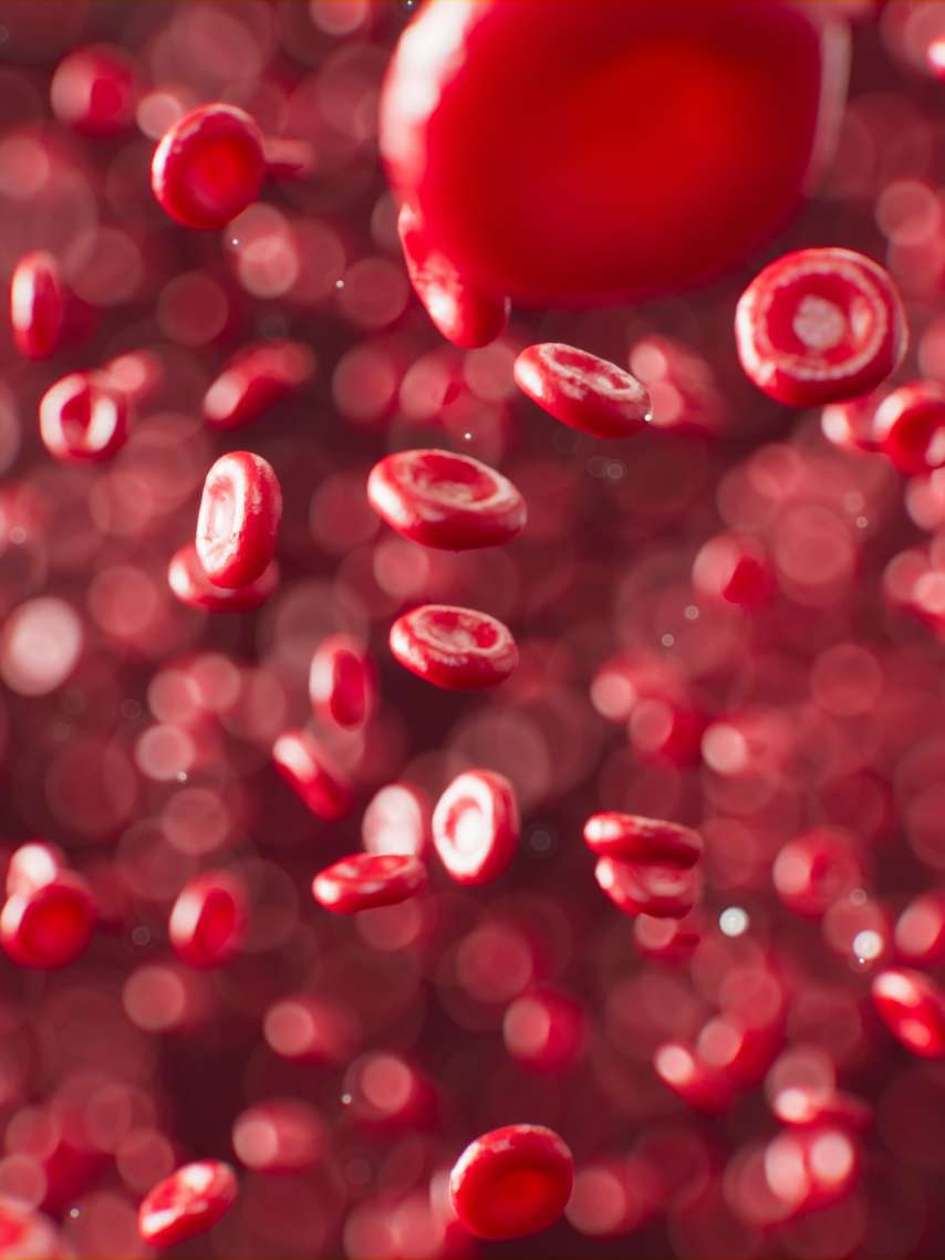 HICC® - Haemostasis in Critical Care