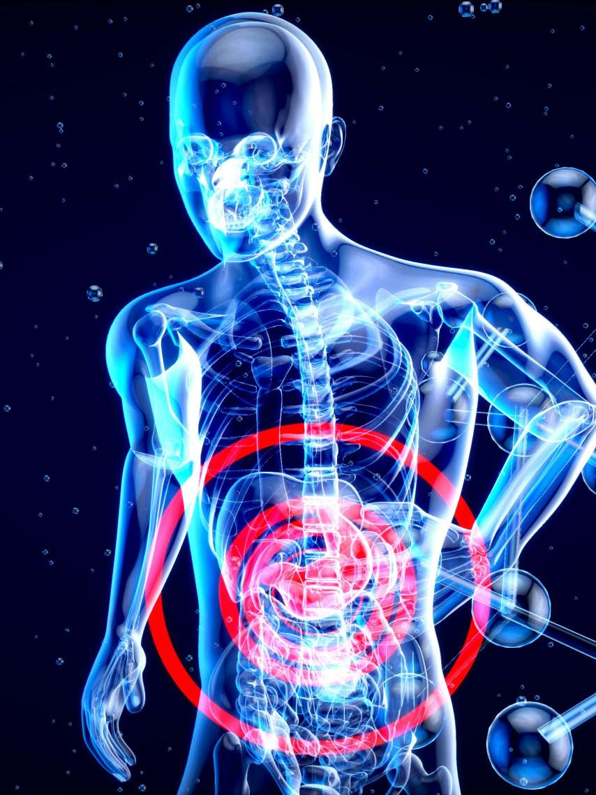 58. Jahrestagung SGSMP