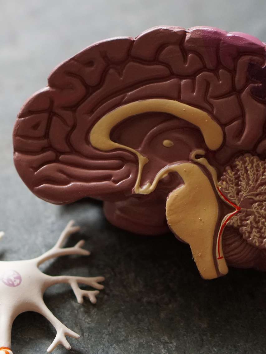 St.Galler Demenz-Kongress